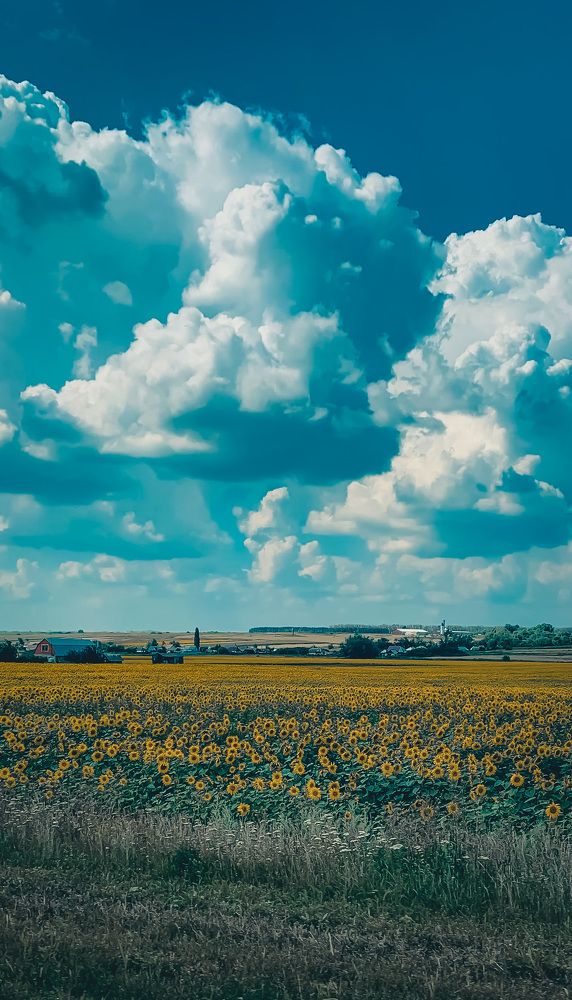 Photograph by Екатерина Алимова