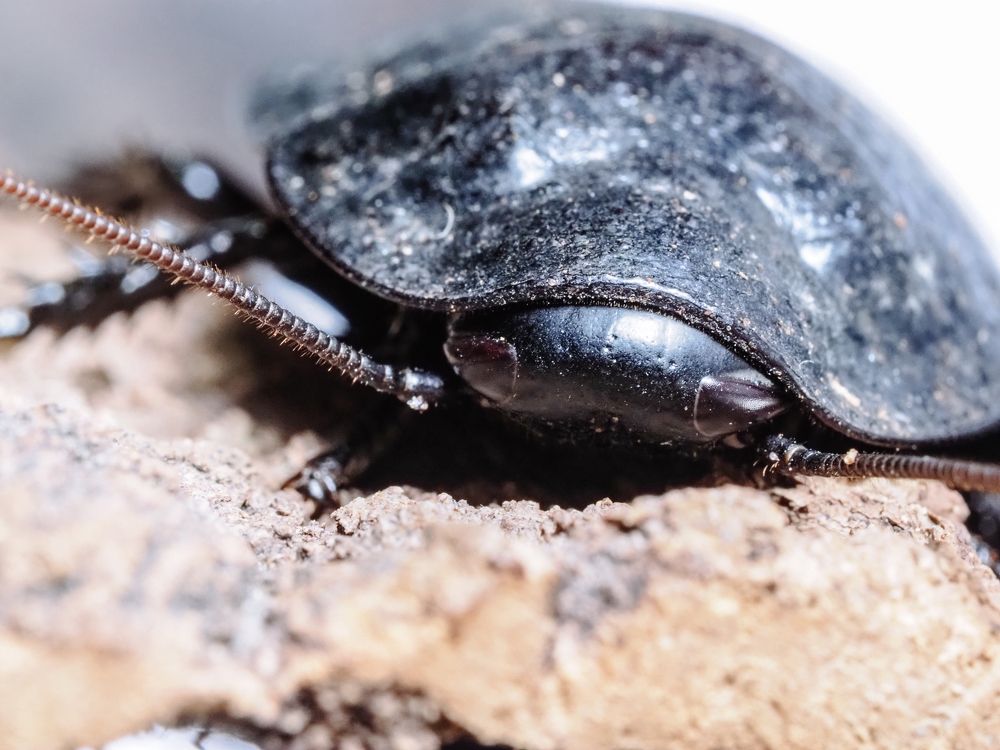 Photograph by Екатерина Парфёнова