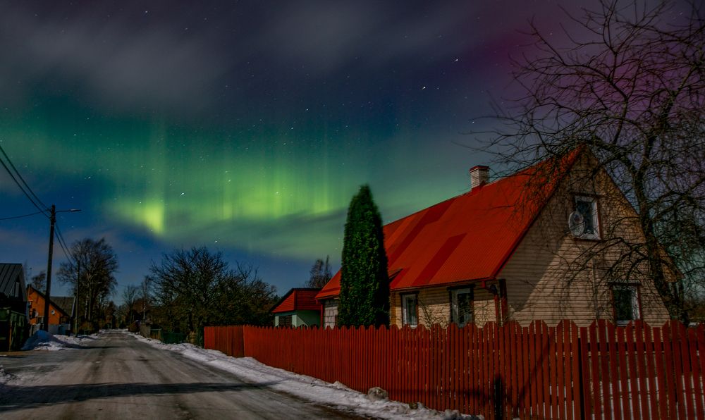 Photograph by Юлия Курм