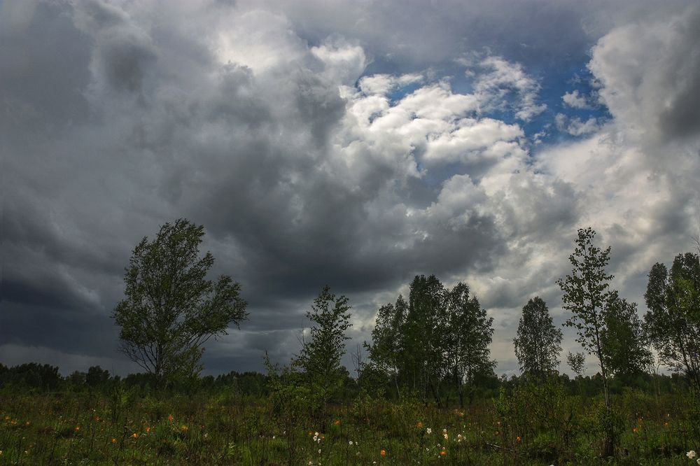 Photograph by Ольга Литвинцева
