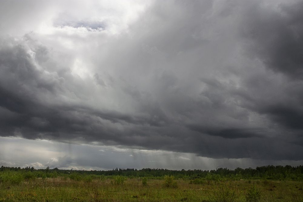 Photograph by Ольга Литвинцева
