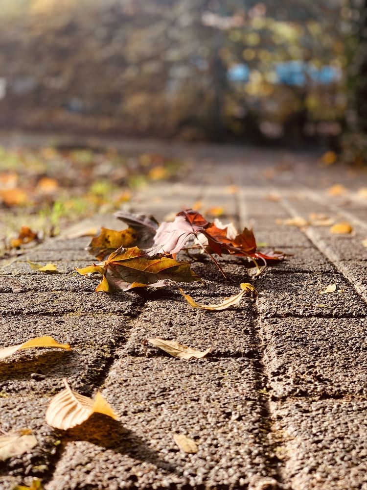 Photograph by Анастасия Мангольд