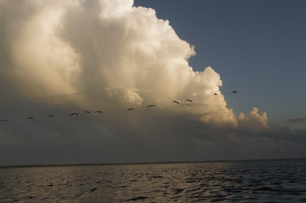 Photograph by yvan Teule