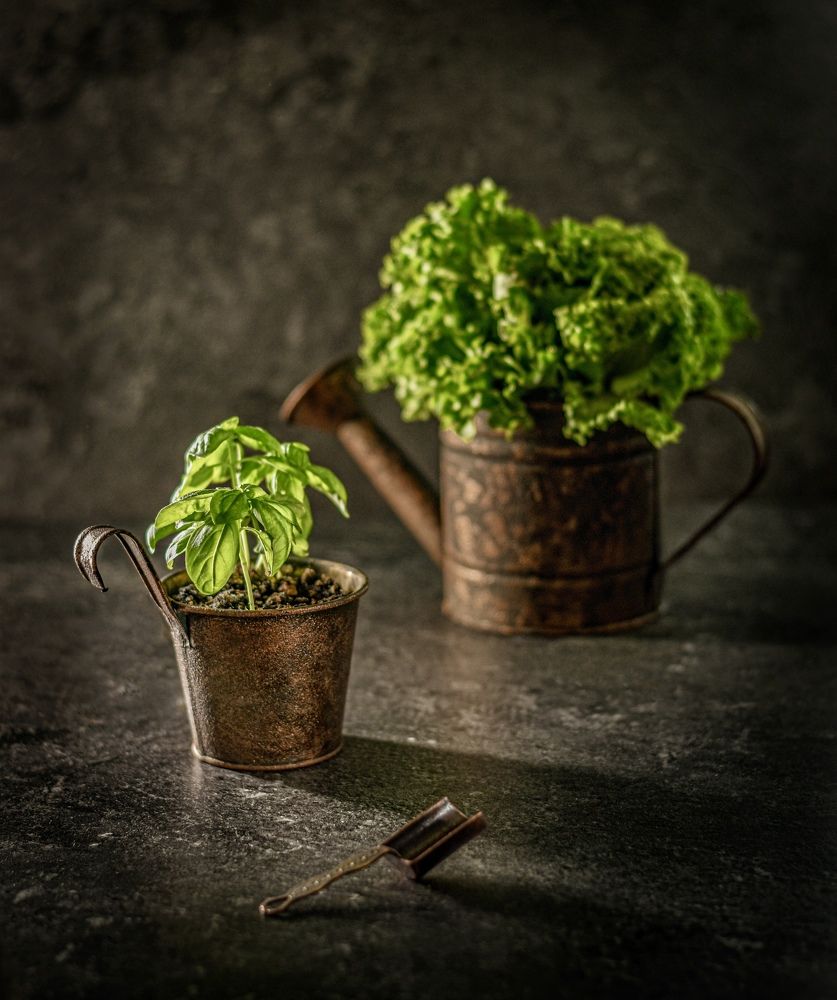 Photograph by Ольга Семина