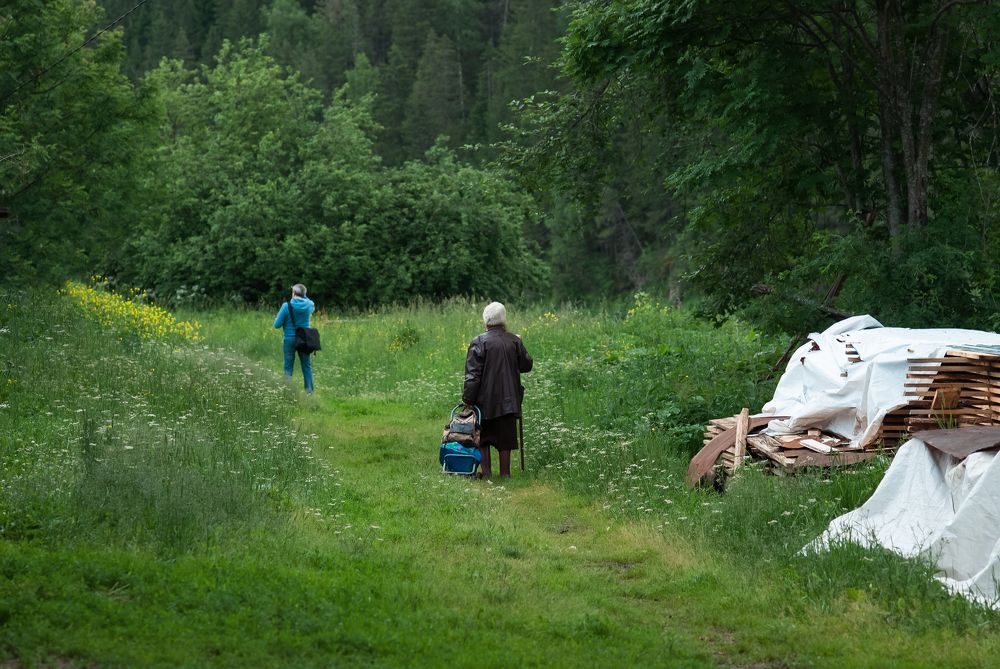 Photograph by Ольга Горбуличева