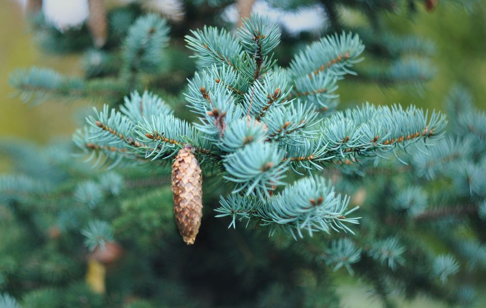 Photograph by Гасанов Игорь