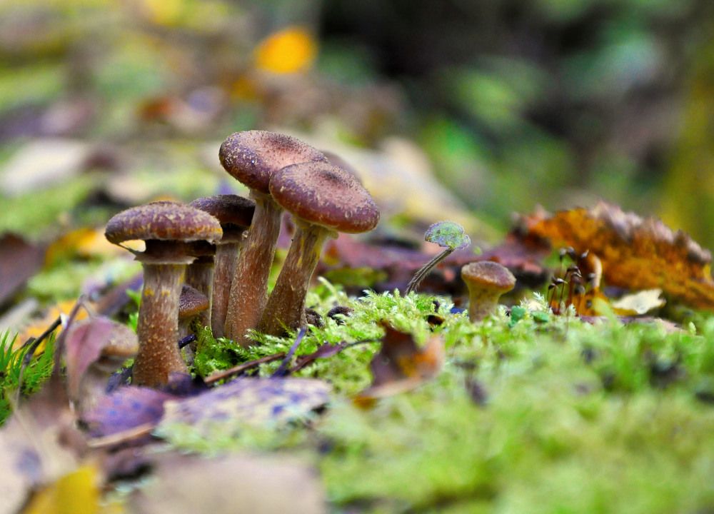 Photograph by Гасанов Игорь