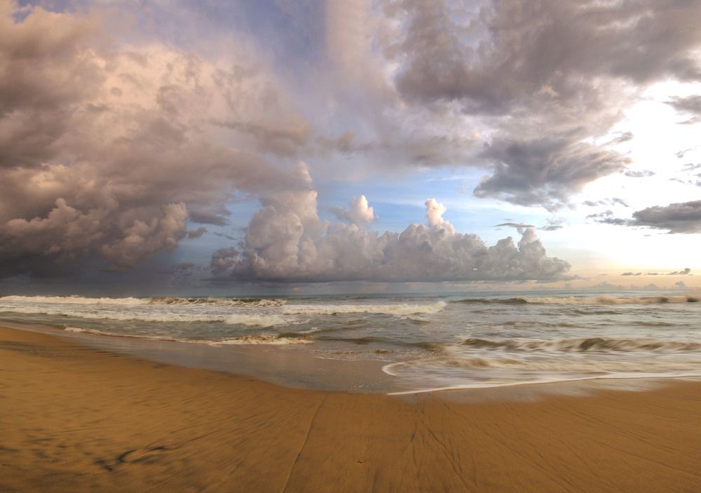 Photograph by Chamara Sulakkhana Polwatta Siriyalage