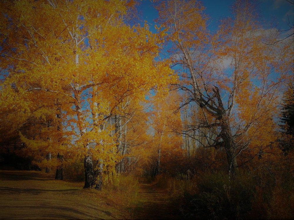 Photograph by Наталья Веряскина