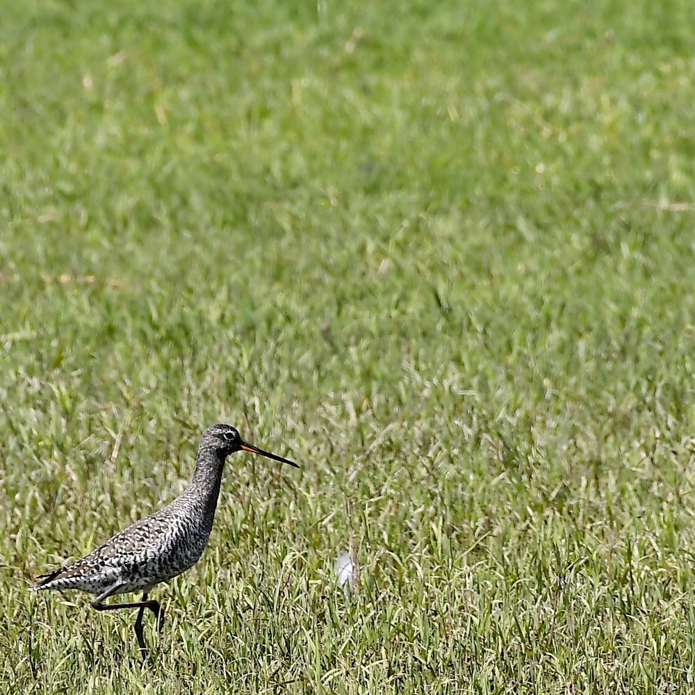Photograph by Александр Катунцев