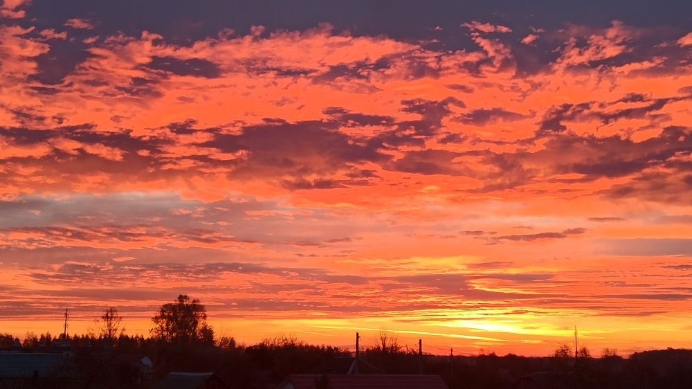 Photograph by Новикова Елена Сергеевна