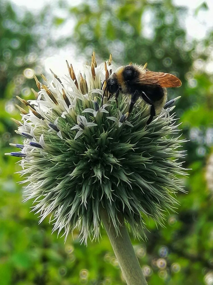Photograph by Лилия Багдасарова
