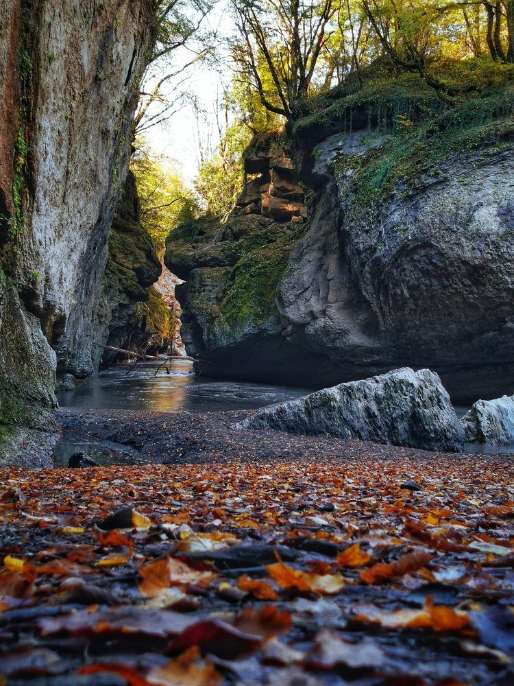 Фотография автора Юлия Есина
