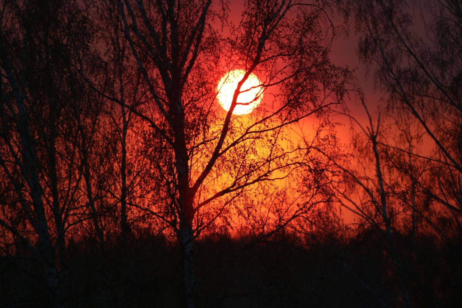 Фотография #8203109