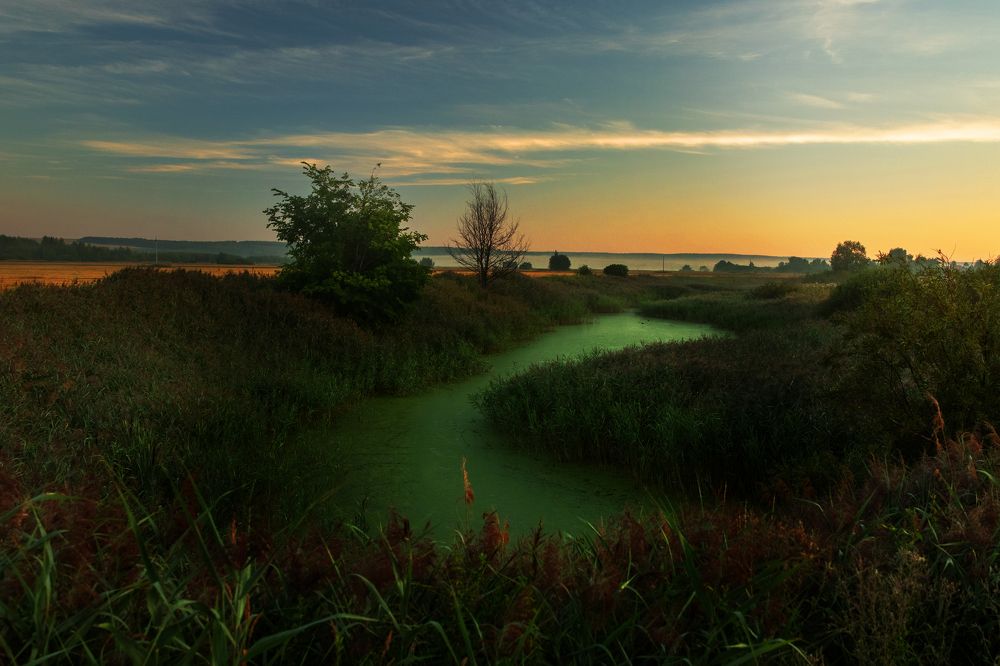 Photograph by Сергей Абашкин