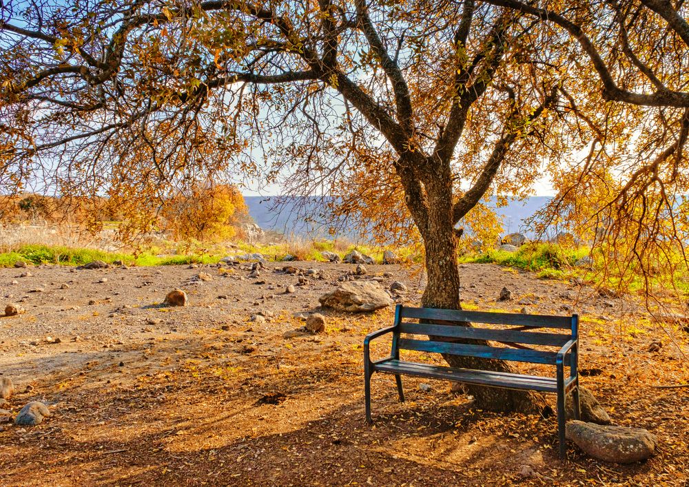 Photograph by Leonid Radashkovsky