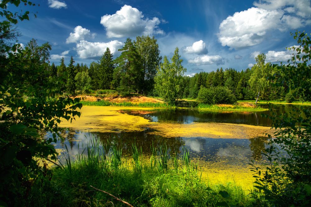 Photograph by Сергей Абашкин