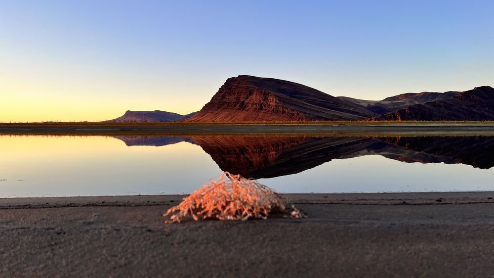 Photograph by Олег Печенегин