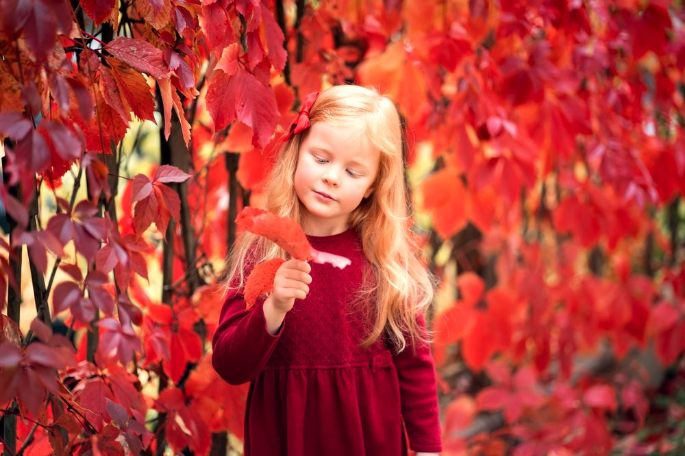 Photograph by Елена Лидмец