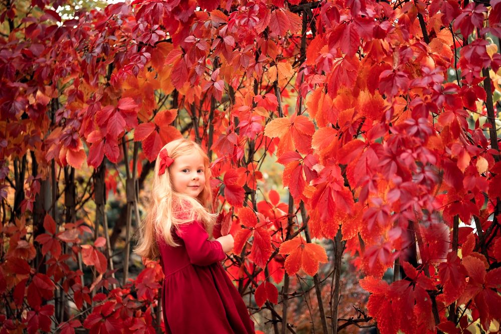 Photograph by Елена Лидмец