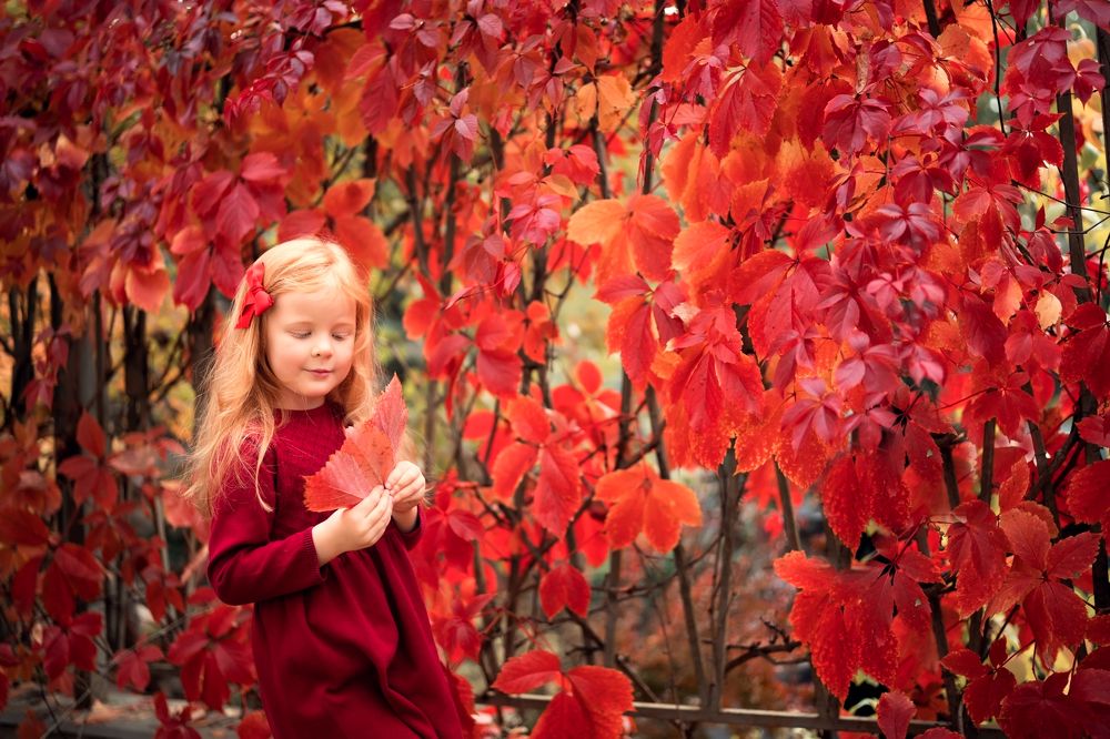 Photograph by Елена Лидмец