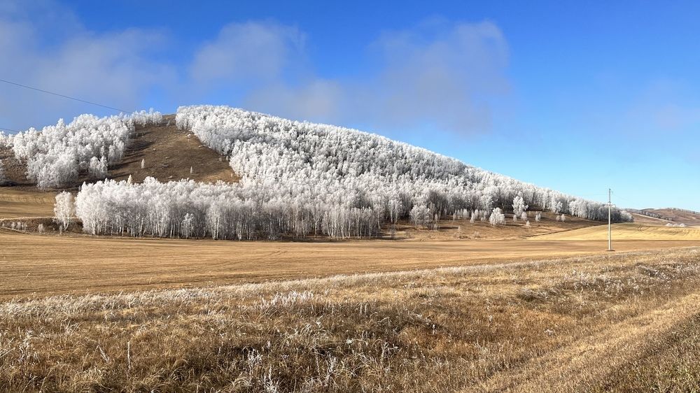 Photograph by Олег Печенегин