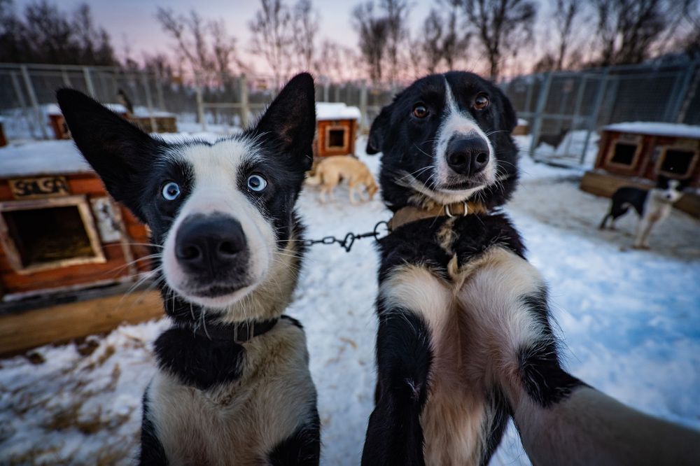 Photograph by Merche Llobera