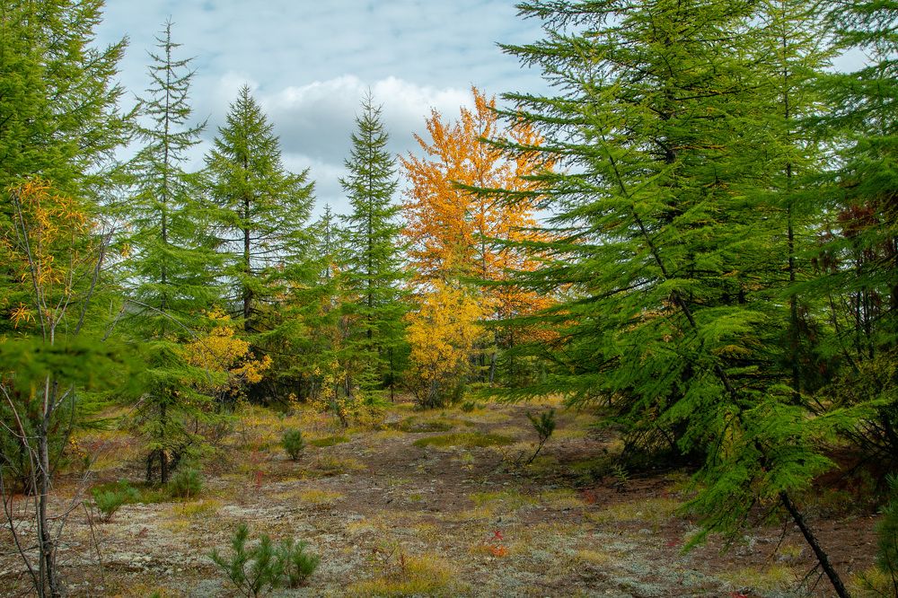 Photograph by Александр Дёмин