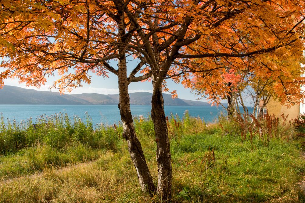 Photograph by Александр Дёмин