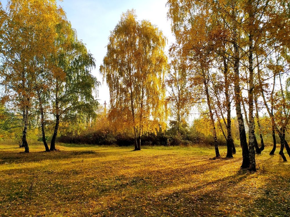 Photograph by Ирина Половцева