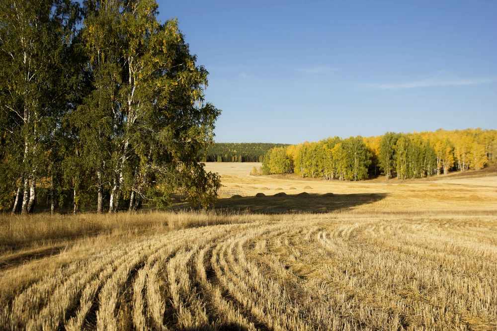 Photograph by Владимир Полотов