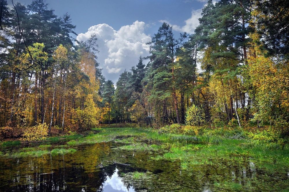 Photograph by Жучков Никита