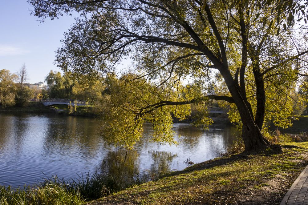 Photograph by Александр Голиков