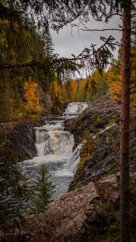 Photograph by Александр Сочнев