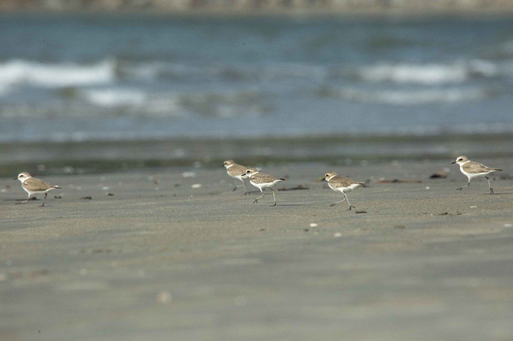 Photograph by AJITH MANIYAN