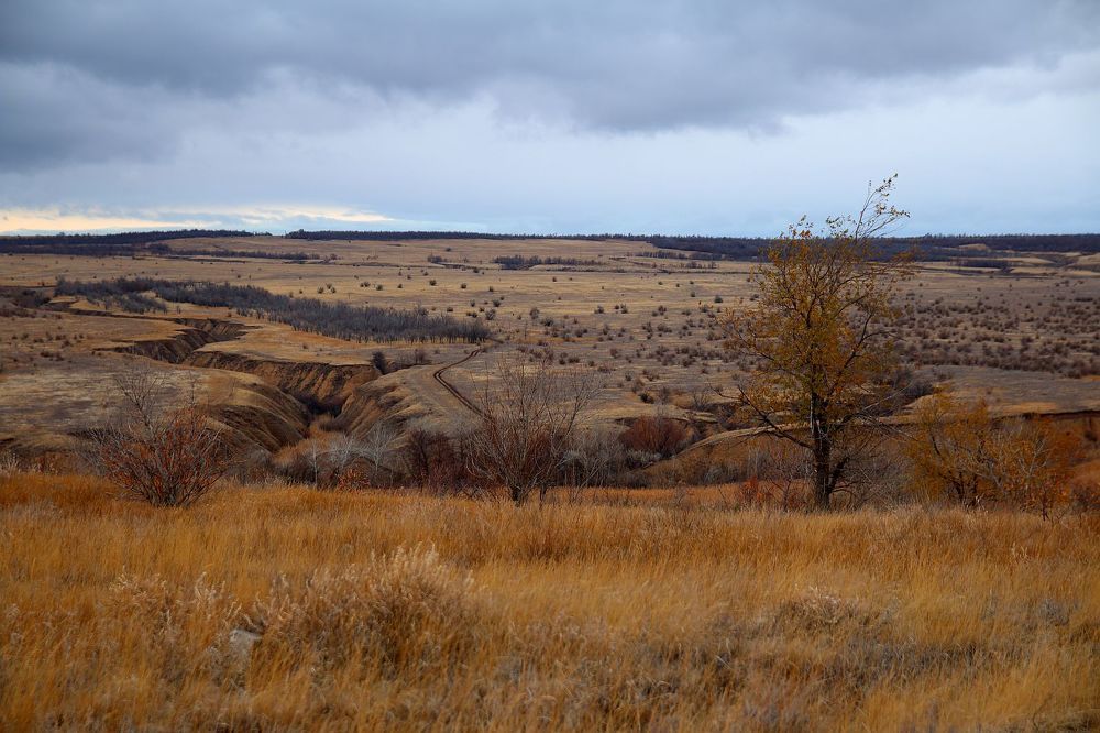 Photograph by Юрий Варюхин