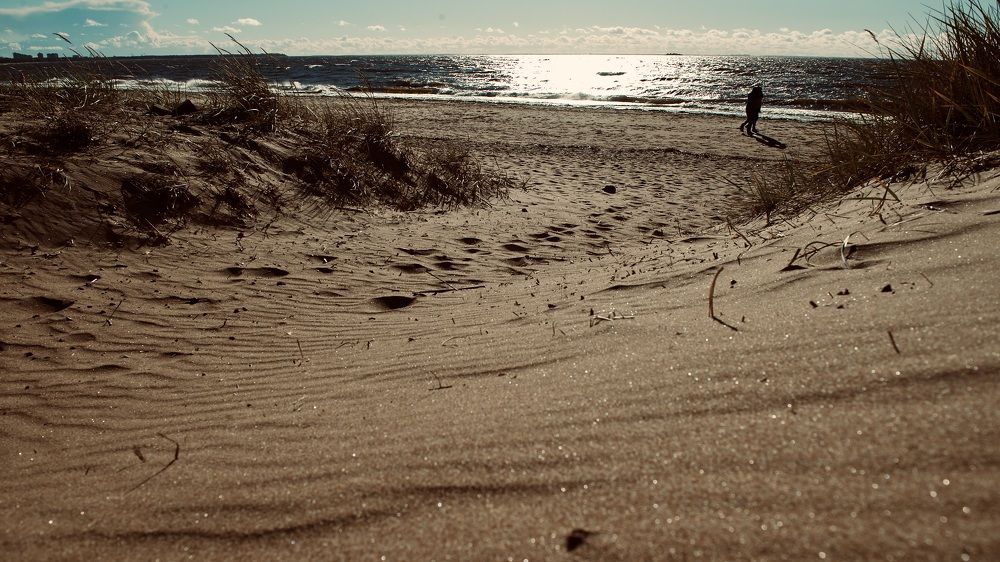 Photograph by Дмитрий Власов