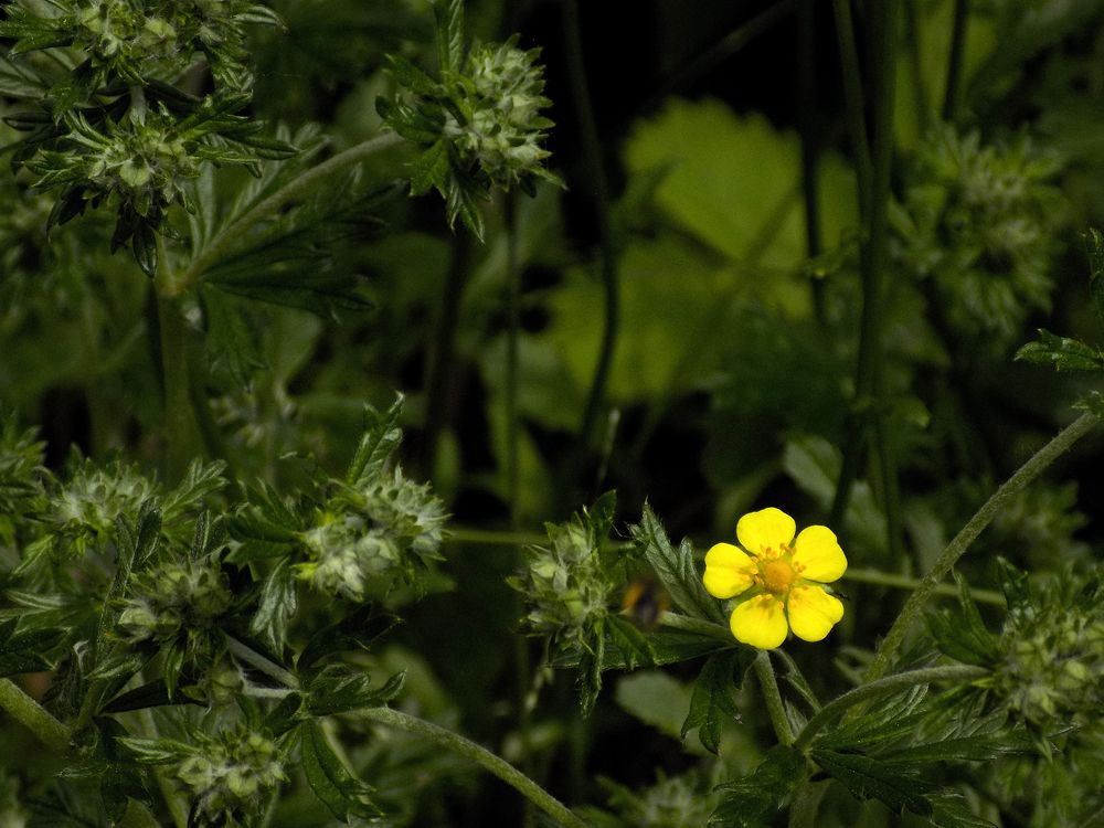 Photograph by Сергей Рудаков