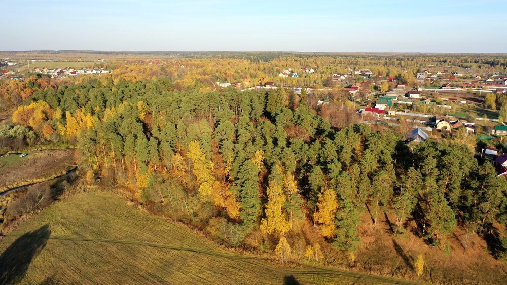 Photograph by Ольга Ильина