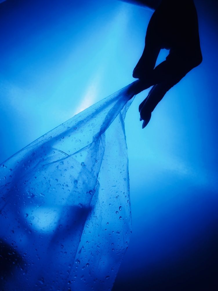 Photograph by Елена Дегтяренко