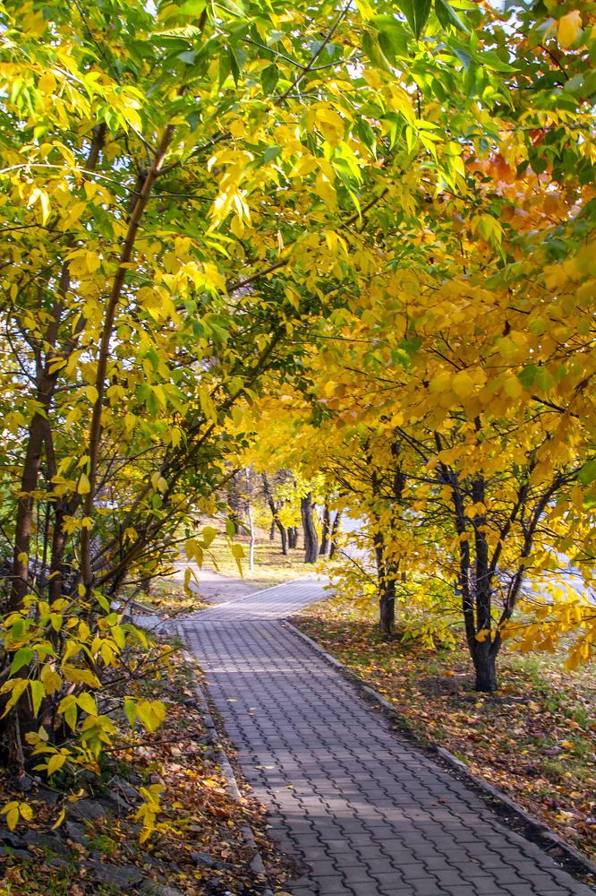 Photograph by Александр Дёмин