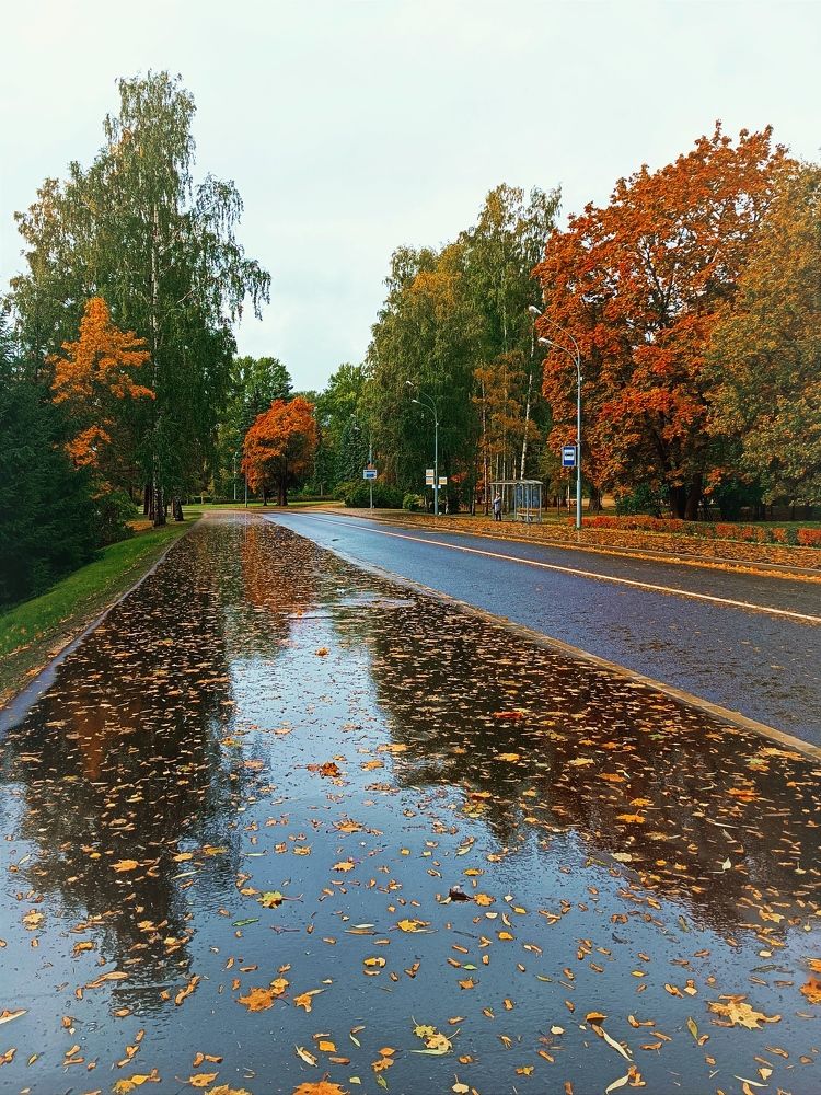 Photograph by Марина Хохрякова