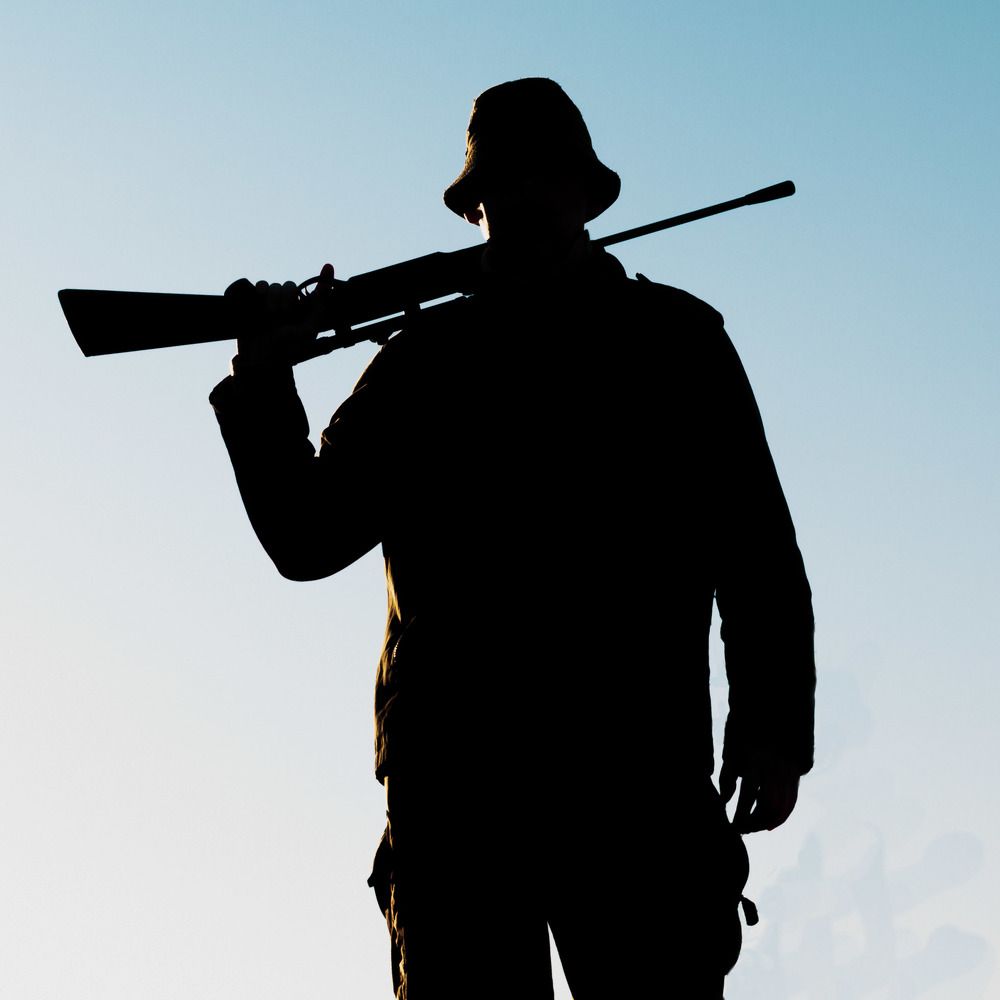 Photograph by Алексей Худяков