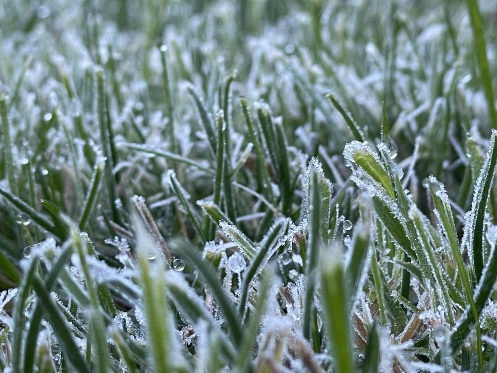 Photograph by Ольга Ильина