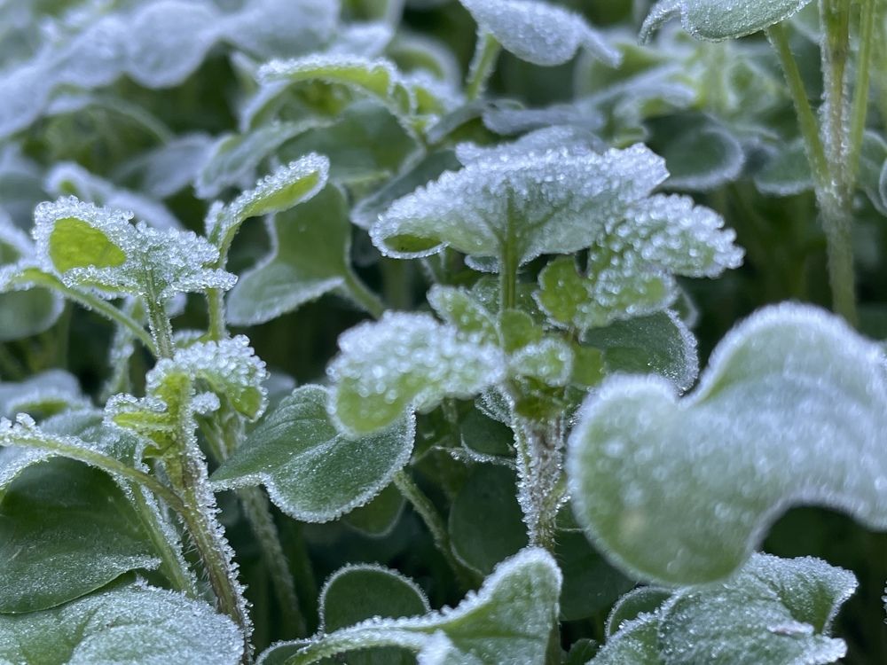 Photograph by Ольга Ильина