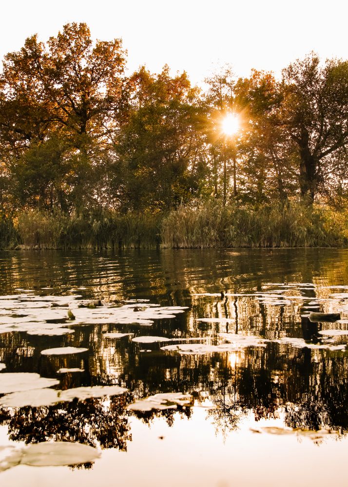 Photograph by Ирина Фатеева