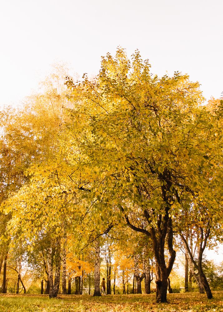 Photograph by Ирина Фатеева