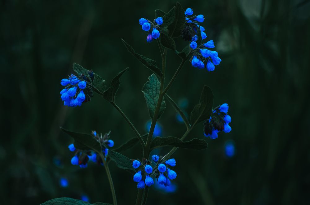 Photograph by Вероника Ливанова