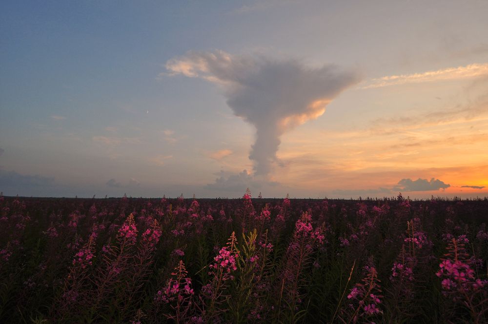 Photograph by Юрий Яковлев