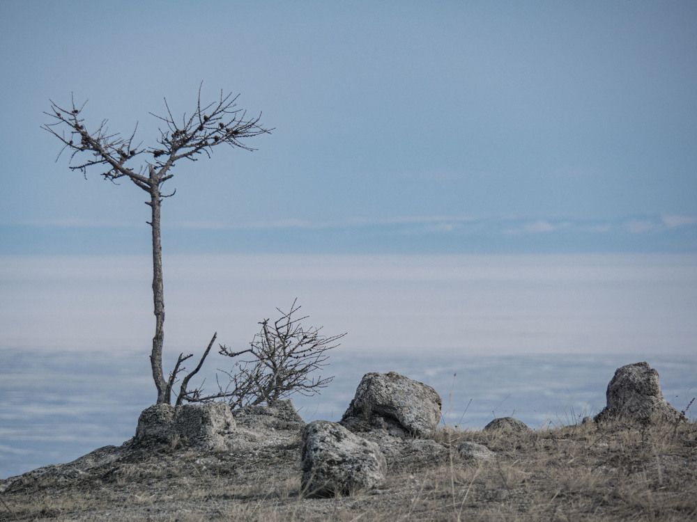 Photograph by Светлана Андреева